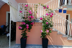 Apartments Nega | Image 2