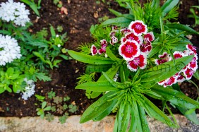 Apartments Mima | Image 3